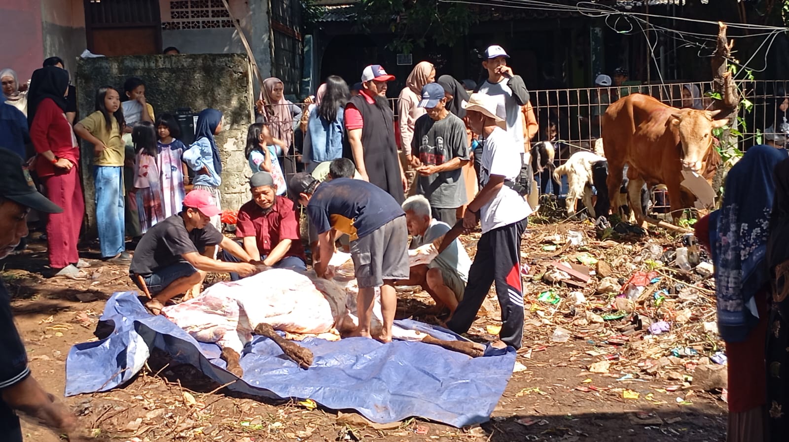 Foto Kegiatan